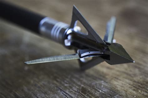 How To Sharpen Broadheads Archery And Bow