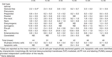 Epithelial Cell Populations In The Gastric Units Of Mice With Wild Type Download Table