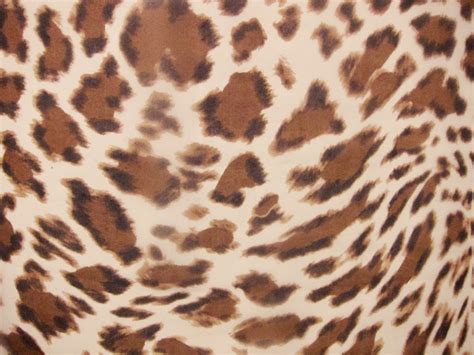 Silk Chiffon In Leopard Print On Light Brown Background Bandj Fabrics