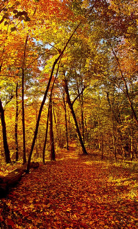 Autumn Trails Photograph By Phil Koch Fine Art America