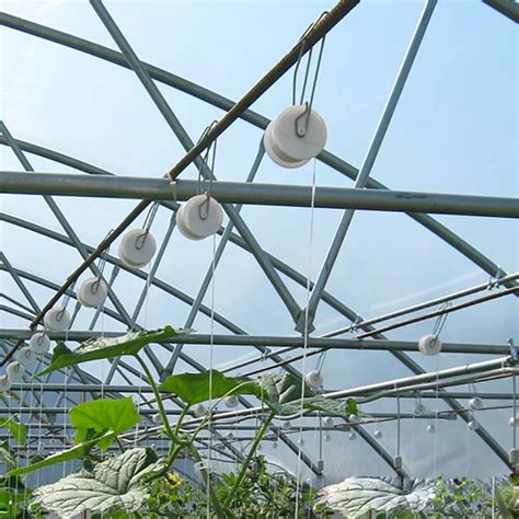 Skyplant Greenhouse Trellising Roller Hook Growing Tomatoes Planting