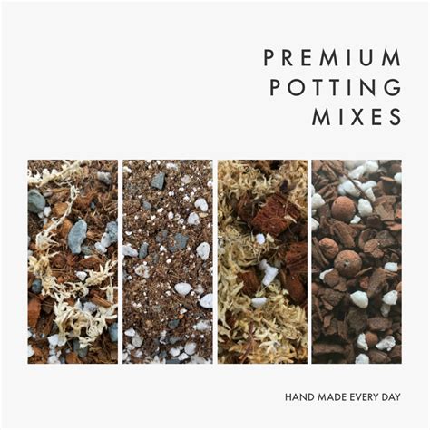 Orchid Potting Mix Guide | Orchid potting mix, Potting mix, Repotting orchids