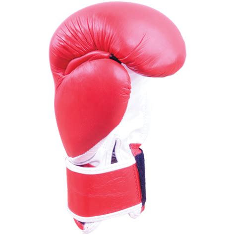 Boxing glove Sporting Goods - boxing gloves png download - 500*500 - Free Transparent Boxing ...