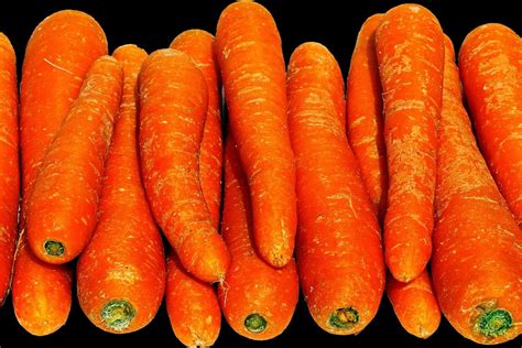 When Do Carrots Go Bad Ultimate Guide To Storing And Preserving