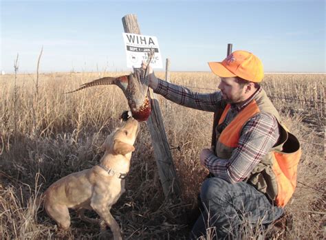 Expert Advice Hunting Public Lands In Kansas