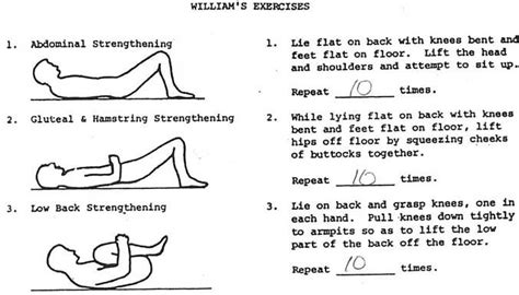Williams Flexion Exercise Mckenzie Exercises Exercise Williams