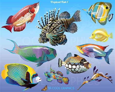 Tropical Fish Clip Art Animal Clip Art Ocean Clip Art Etsy Uk