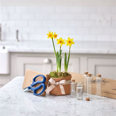 Flower delivery by florists online. Why pink roses are PERFECT flowers to send your mum this ...