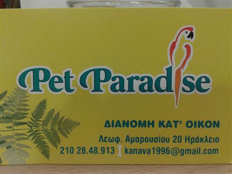 The Ultimate Pet Experience Dive Into Athens Gas Pet Paradise