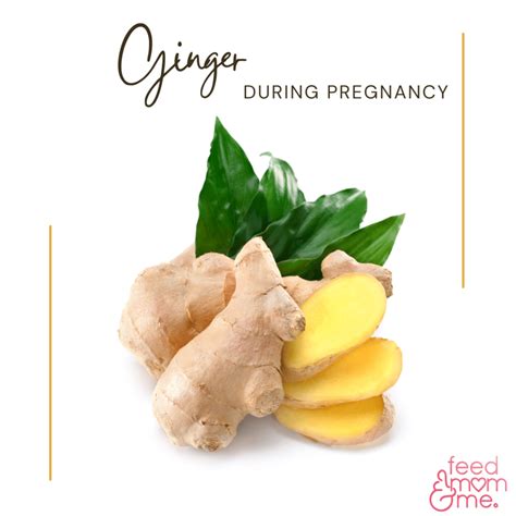 The Benefits Of Ginger During Pregnancy Feedmomandme