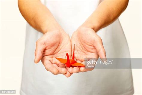 Origami Crane Hands Photos And Premium High Res Pictures Getty Images