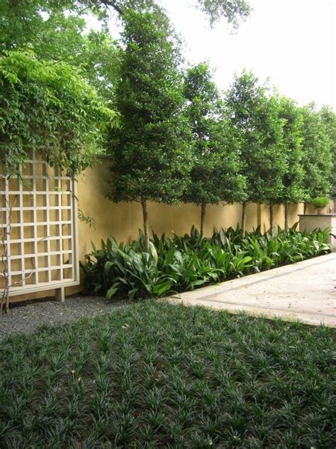 31 Great Tips And Ideas To Create Backyard Privacy Landscaping