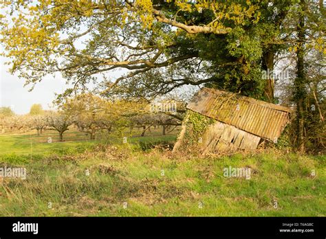 The Old Farm Shed Stock Photo Alamy