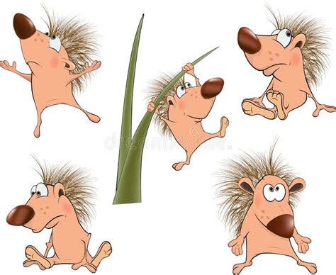 Cute Hedgehogs Set Cartoon Stock Vector Illustration Of Bristles