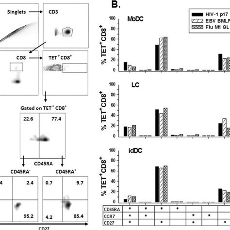 Virus Peptide Specific Cd T Cell Phenotypes Primed By The