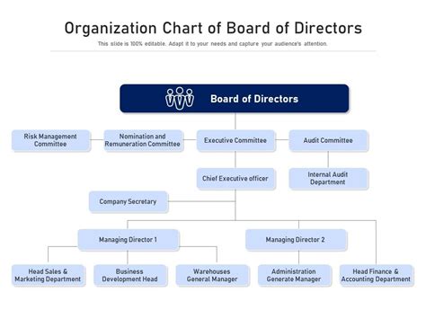 Organization Chart Of Board Of Directors Presentation Graphics