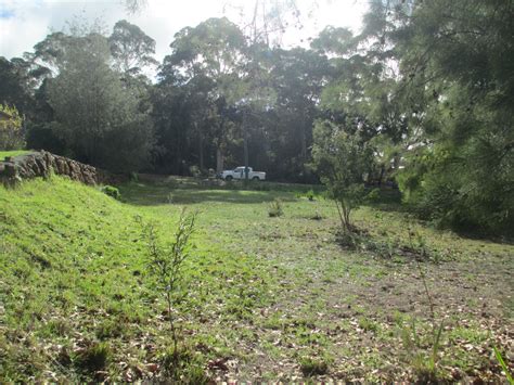 These three countries are liberia. | DENMARK HEIGHTS