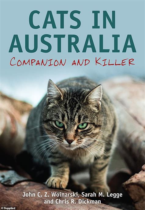 Pet Cats In Australia Kill 75 Animals Each Per Year And Ferals Are