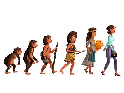Woman Evolution Vector Cartoon Illustration Download