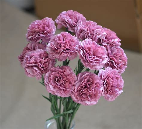Purple Carnations Real Touch Carnations Diy Florals Etsy