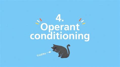 Learn About Operant Conditioning In The Last Of Our Series About How