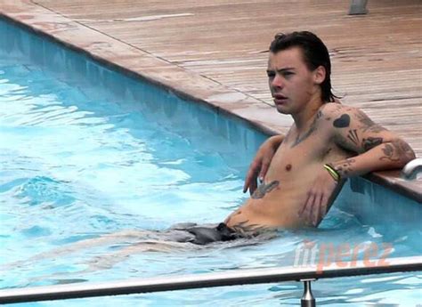 Pin By Abby Grace On H In Harry Styles Shirtless Harry Styles