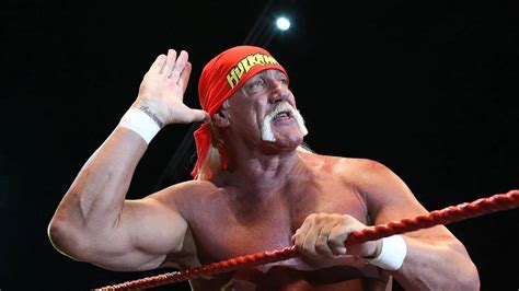 This Day In Hamilton Wrestling History Hulk Hogan Bret Hart Ultimate