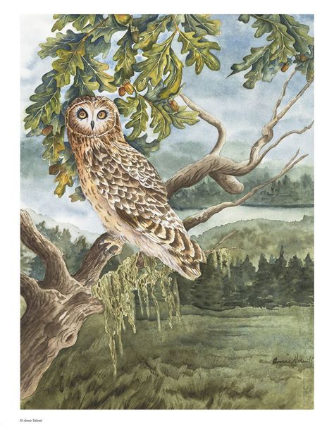 Owl On Oak Tree Watercolor Painting Print Owl Painting Owl Etsy