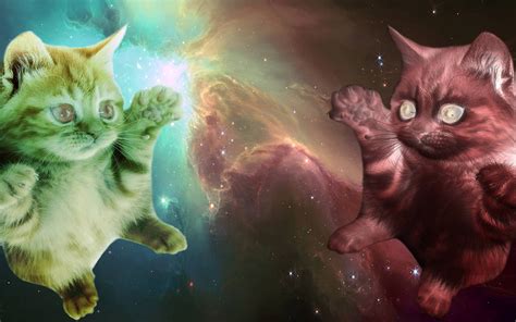 Qwertymcgiblets Oc Imgur Outerspace Cats Cat Wallpaper Iphone