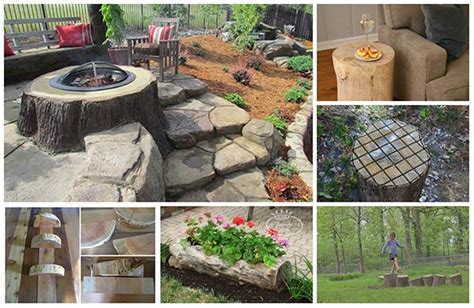 12 Ways To Repurpose Tree Stumps And Logs Home And