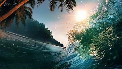 Waves Ocean Nature 5k Resolution Palm 4k