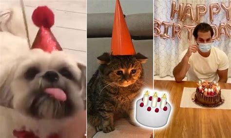 7 Hilarious Memes For People Spending Their Birthday In Quarantine