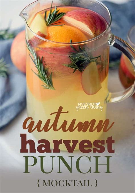 Non Alcoholic Drinks Perfect For Fall Walking On Sunshine Recipes