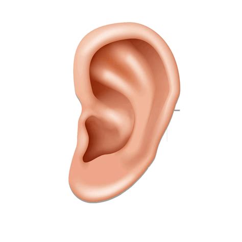 Ear Sticker S Get The Best  On Giphy