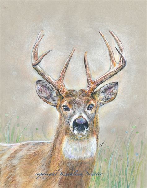 The Buck Stops Here Signed Art Print Of Original Whitetail Deer Cabin