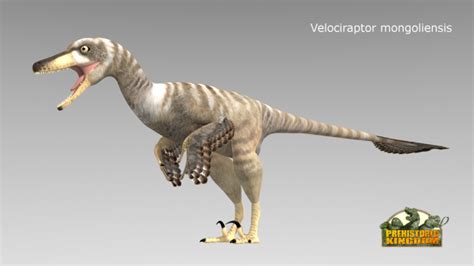 Feathered Velociraptor Image Prehistoric Kingdom Moddb