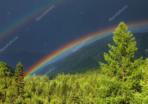 Rainbow Over Forest Stock Photo By ©muha04 3826097