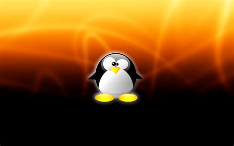 Tux Wallpapers Wallpaper Cave