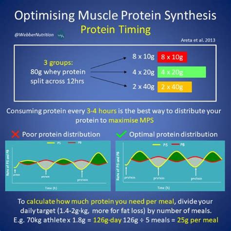 3 T’s Of Dietary Protein Intake Guide 2023 Webber Nutrition