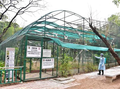 Nehru Zoological Park To Hike Entry Fee Since October First