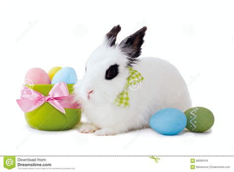 Fluffy White Rabbit With Easter Eggs Isolated On White Background