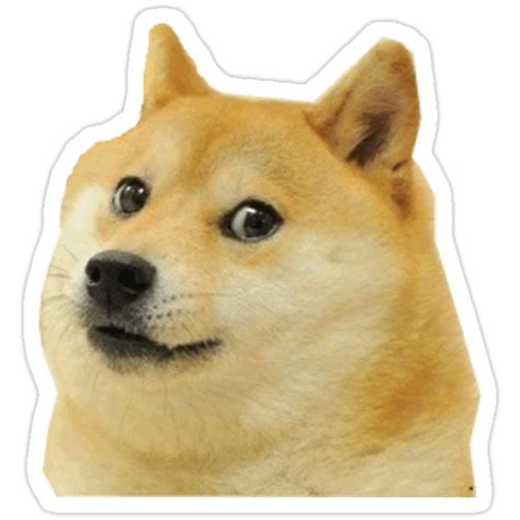 Doge price is up 2.3% in the last 24 hours. "Doge " Stickers by freestyle696 | Redbubble