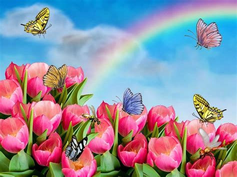 Tulips And Butterflies Image Id 17293 Image Abyss