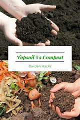 Garden Soil Vs Compost