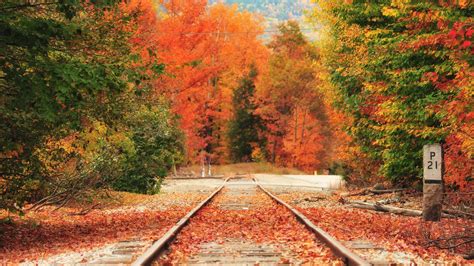 The 15 Best Train Rides For Spotting Fall Foliage In The South