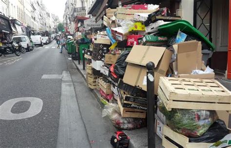Rats poubelles propreté Les Japonais sont choqués de létat de Paris