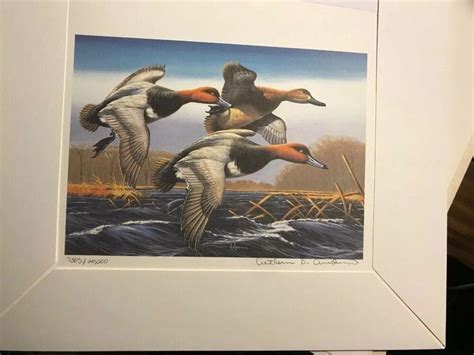 Rare 1987 1988 Federal Duck Stamp Print Redheads By Arthur Anderson