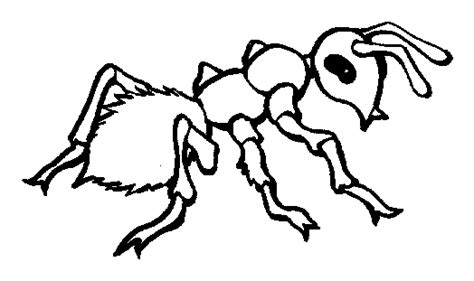 Click the fire ants coloring pages to view printable version or color it online (compatible with ipad and android tablets). Furnica - Planse de colorat si educative