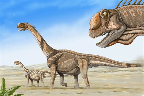 Camarasaurus Dinopedia Fandom Powered By Wikia