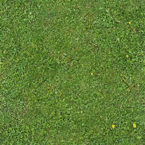 Seamless Green Grass Texture 01 By Simoonmurray On Deviantart